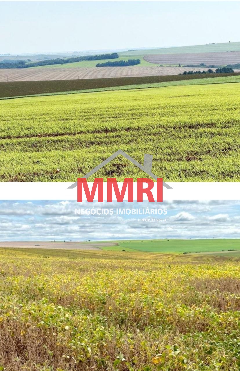 Fazenda, 690 m² - Foto 4