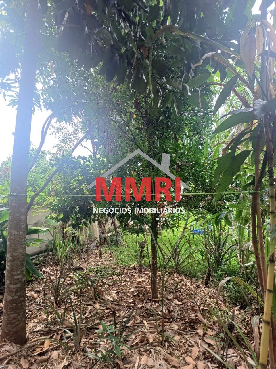 Casa, 2 quartos - Foto 21