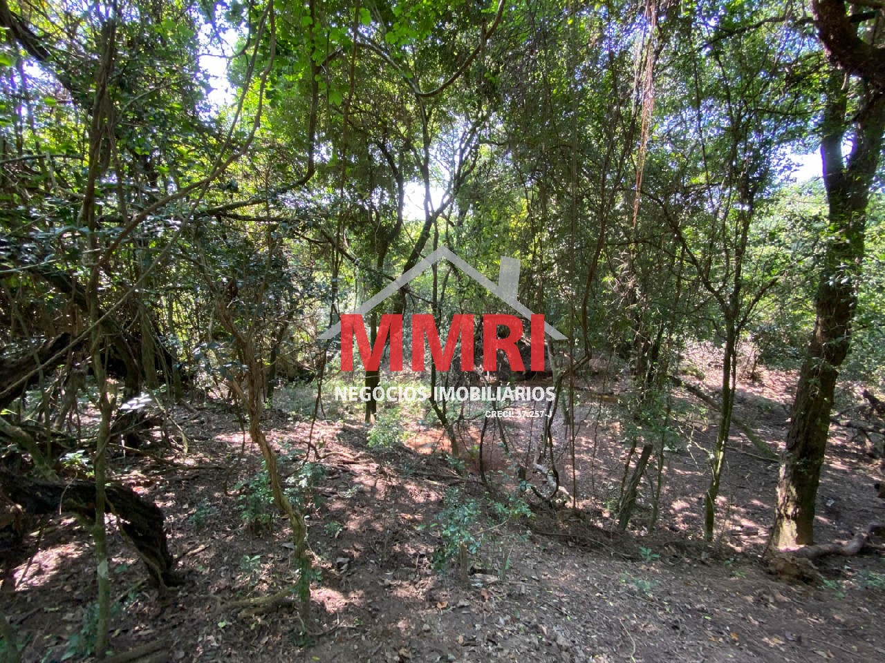 Chácara, 4 quartos, 3218 m² - Foto 74