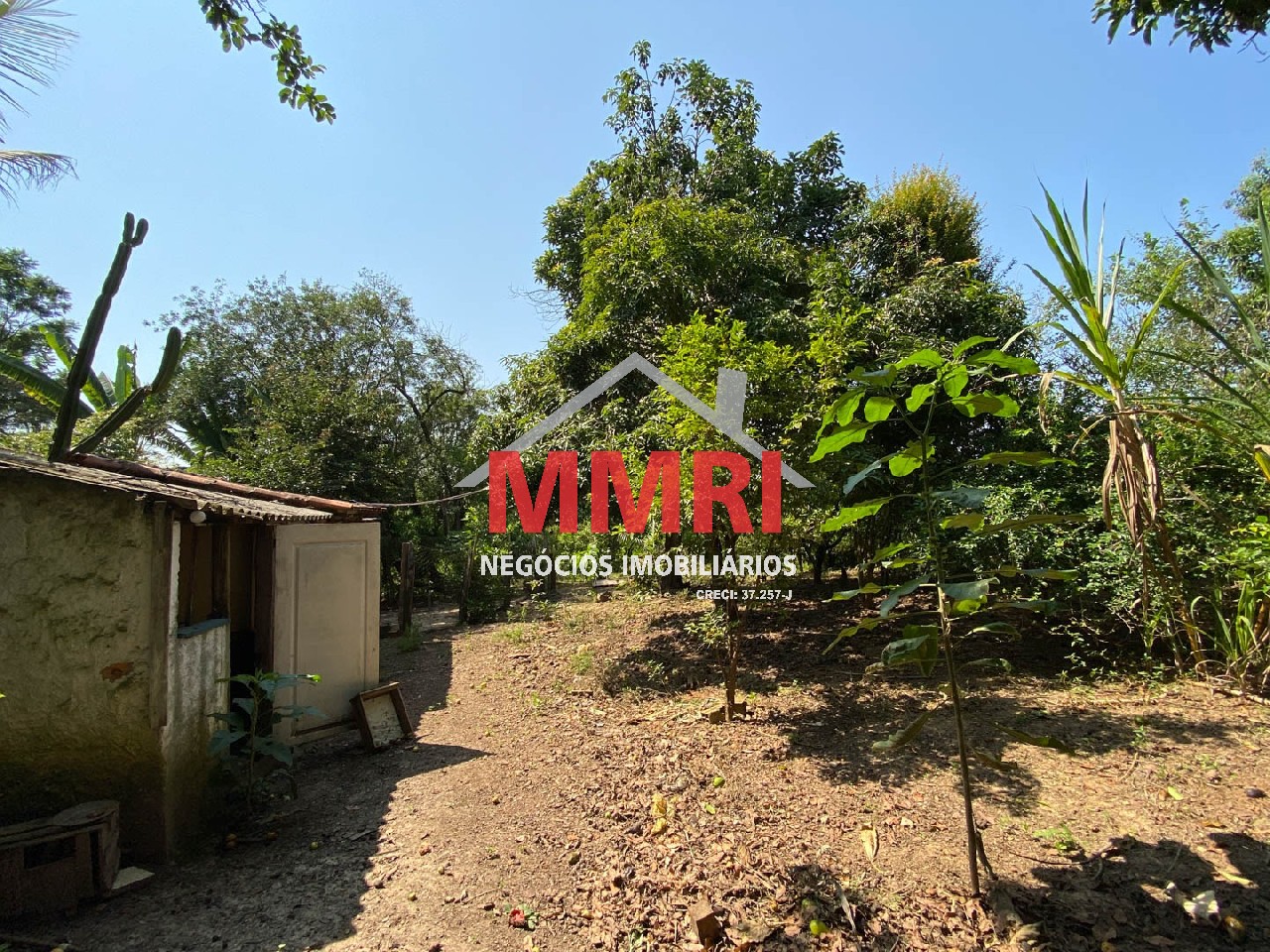 Chácara, 4 quartos, 3218 m² - Foto 62