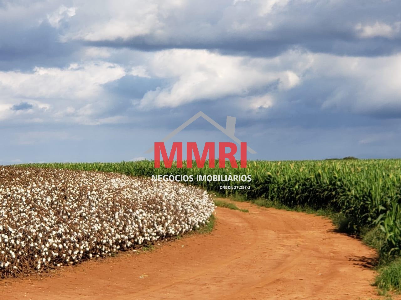 Fazenda, 893 m² - Foto 18