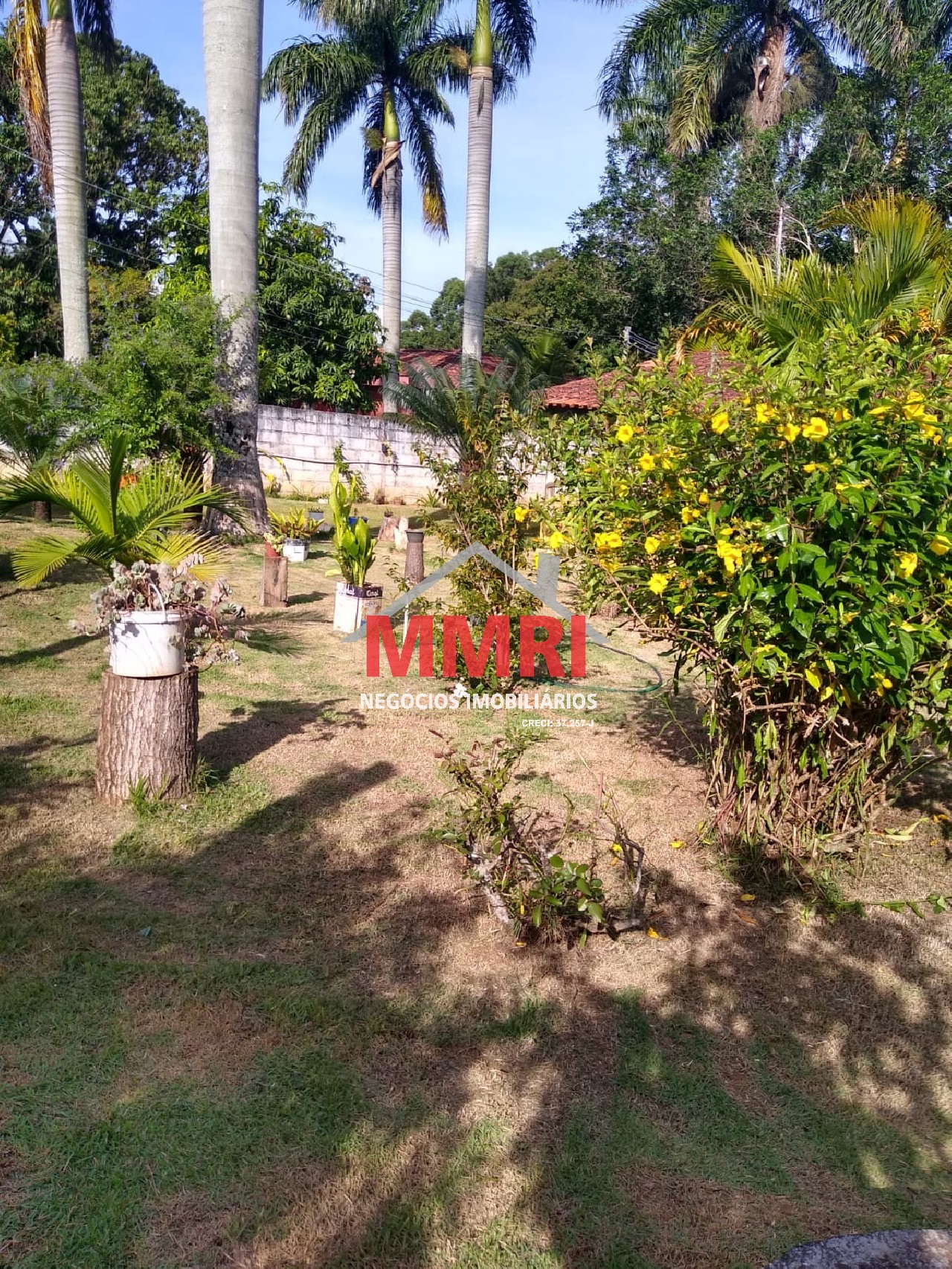 Chácara, 4 quartos, 3218 m² - Foto 98