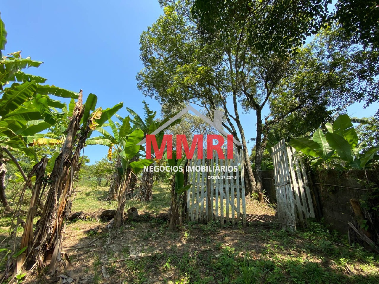 Chácara, 4 quartos, 3218 m² - Foto 72