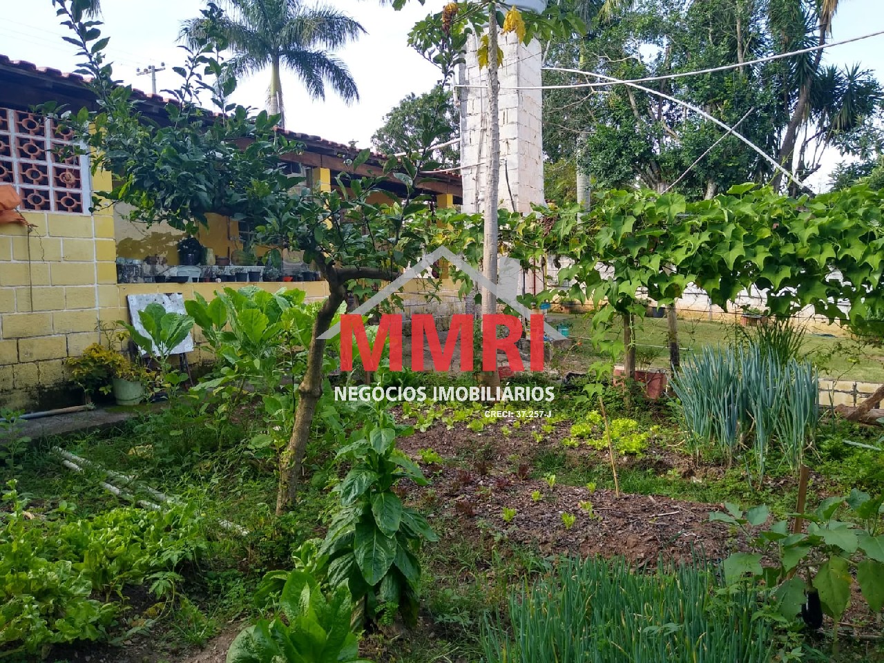 Chácara, 4 quartos, 3218 m² - Foto 90