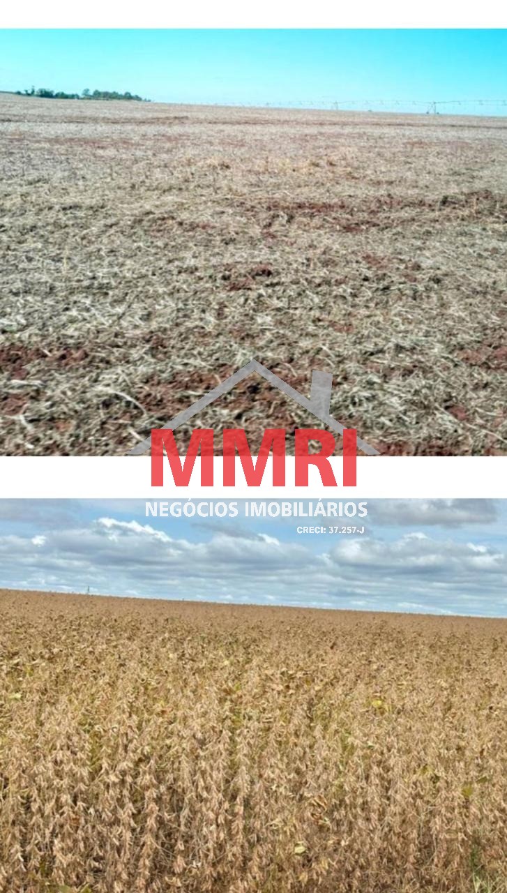 Fazenda, 690 m² - Foto 7