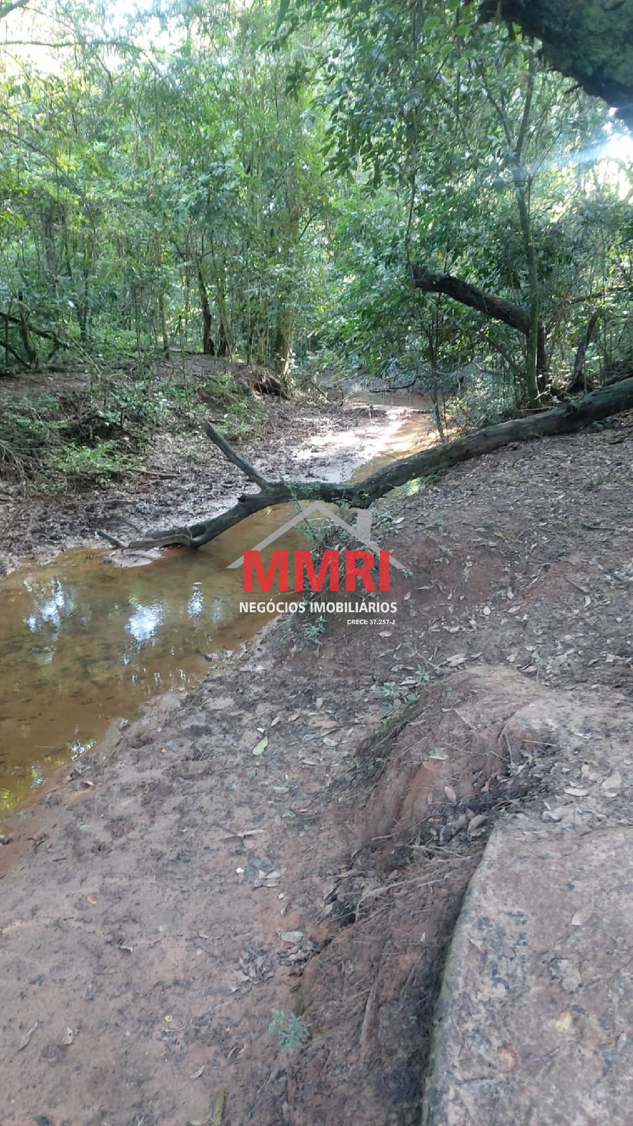 Chácara, 4 quartos, 3218 m² - Foto 101