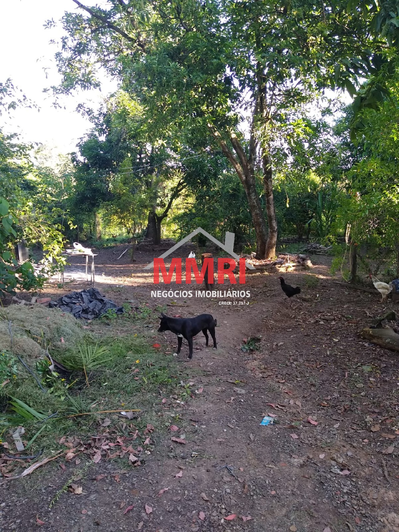 Chácara, 4 quartos, 3218 m² - Foto 96