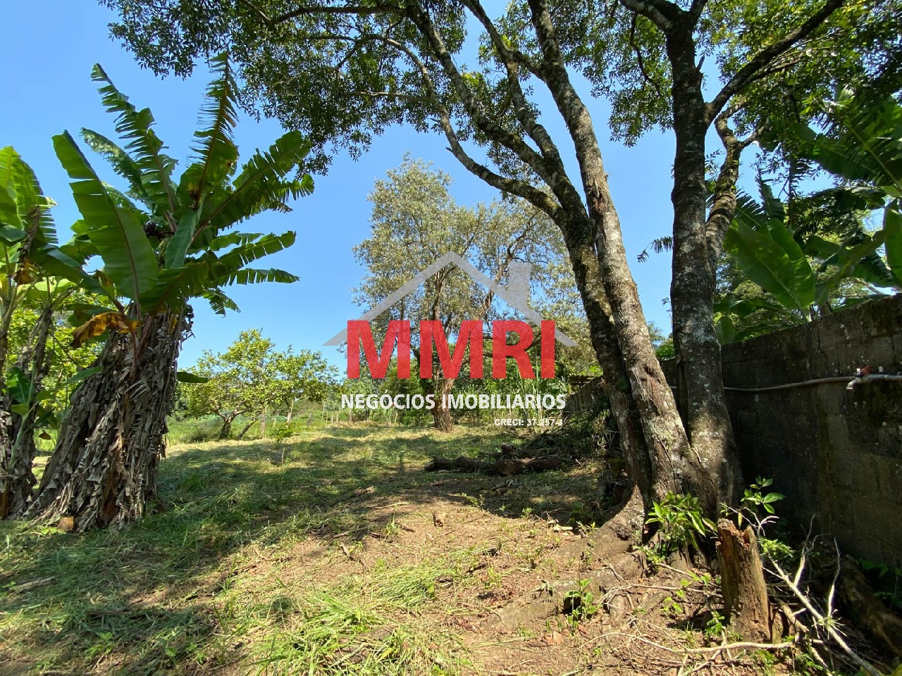 Chácara, 4 quartos, 3218 m² - Foto 71