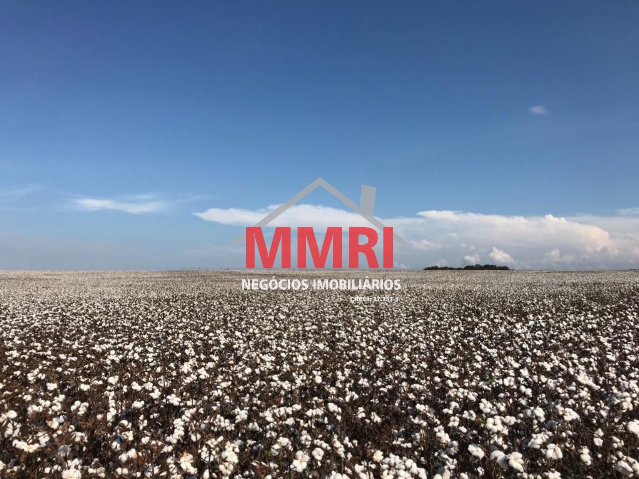 Fazenda, 893 m² - Foto 21