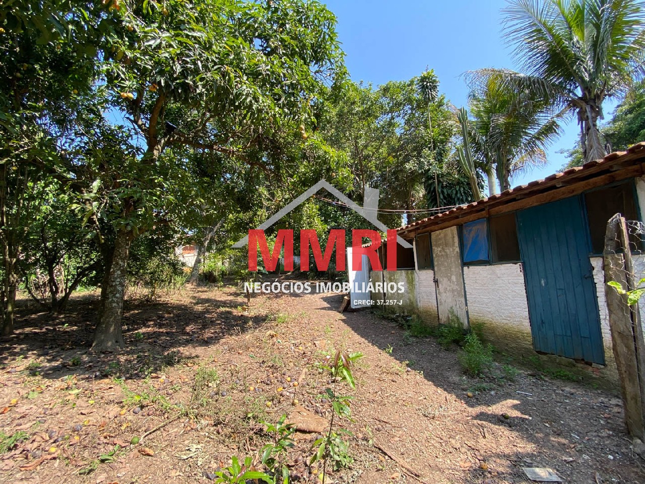 Chácara, 4 quartos, 3218 m² - Foto 64