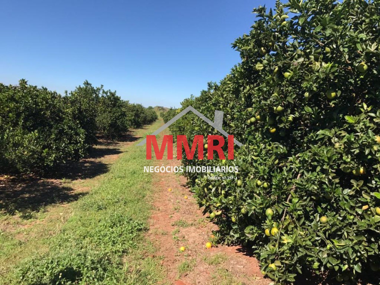 Fazenda, 300 m² - Foto 8