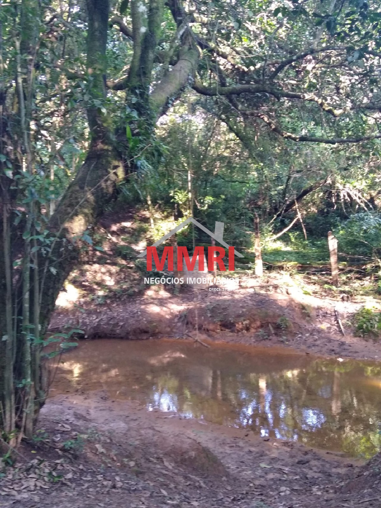 Chácara, 4 quartos, 3218 m² - Foto 91