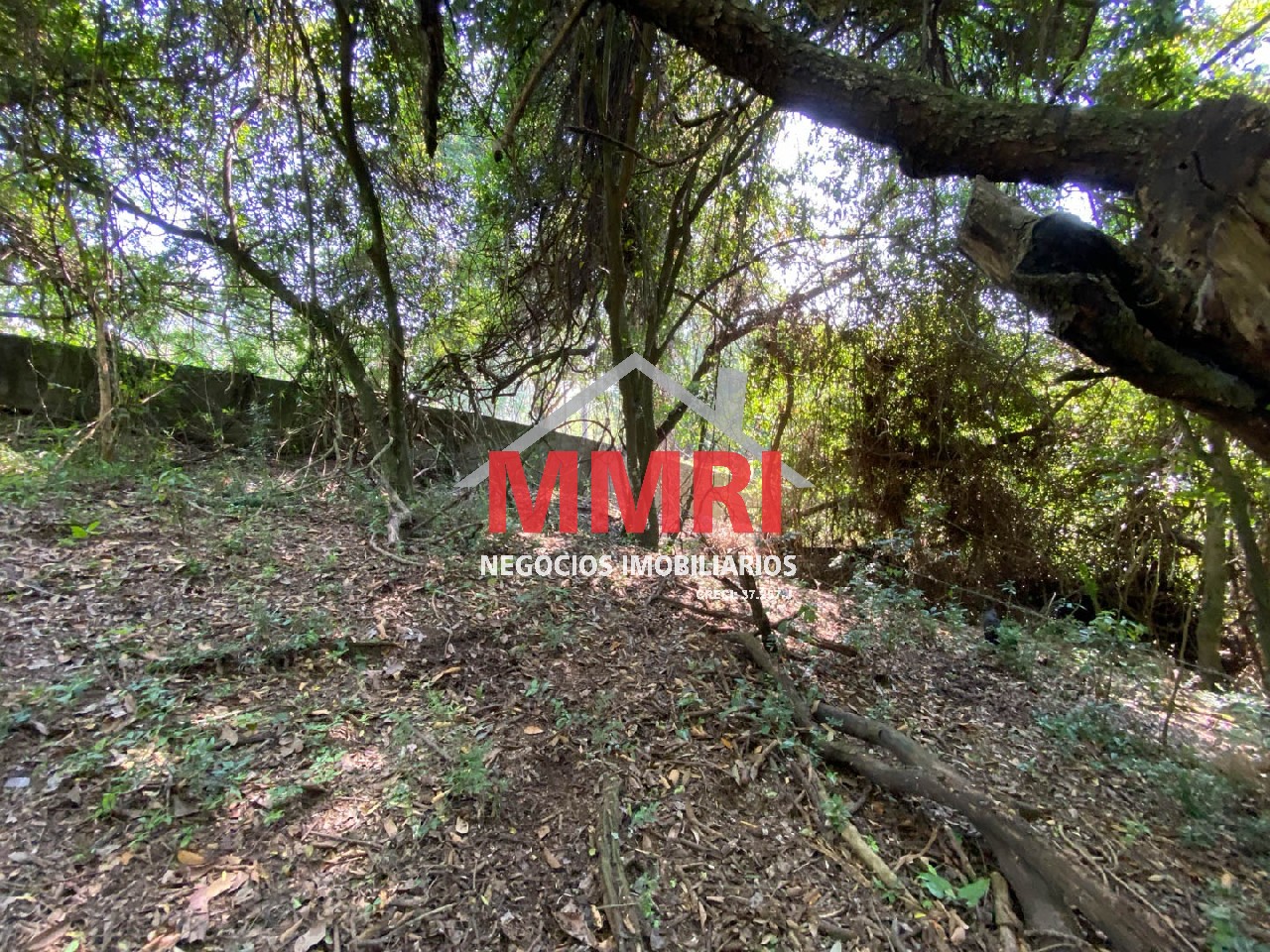 Chácara, 4 quartos, 3218 m² - Foto 76