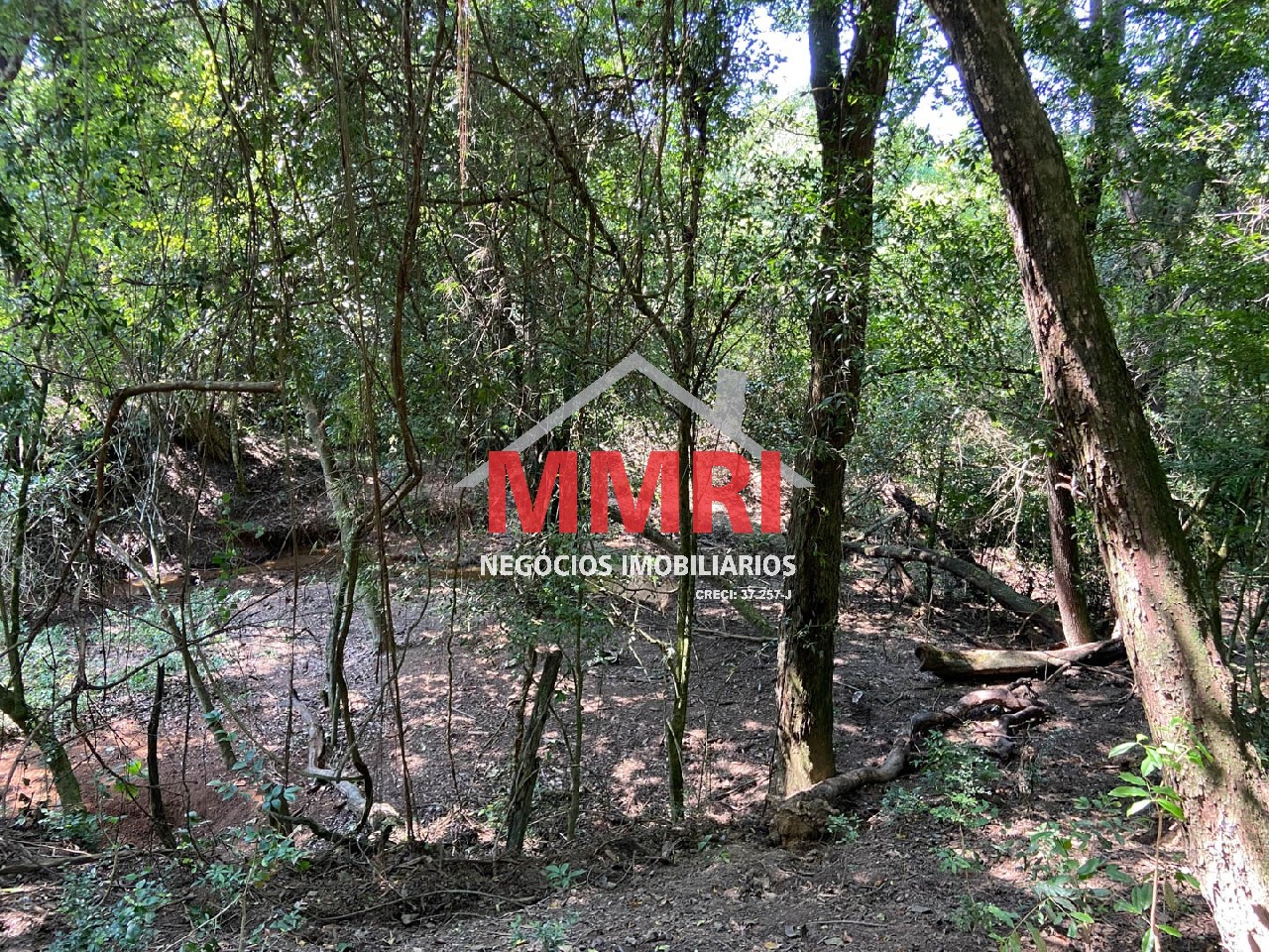 Chácara, 4 quartos, 3218 m² - Foto 73