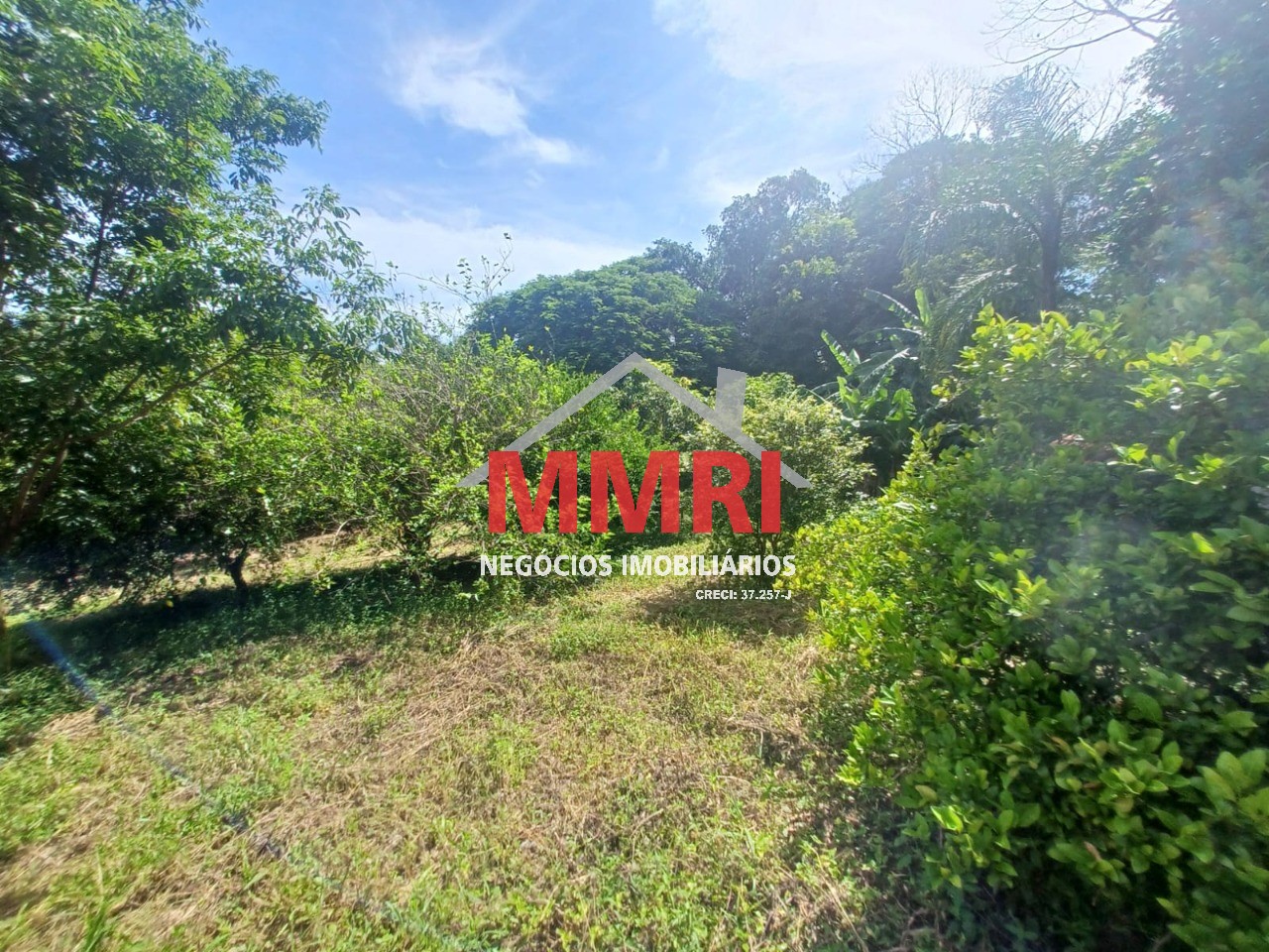 Chácara, 3 quartos, 1100 m² - Foto 16