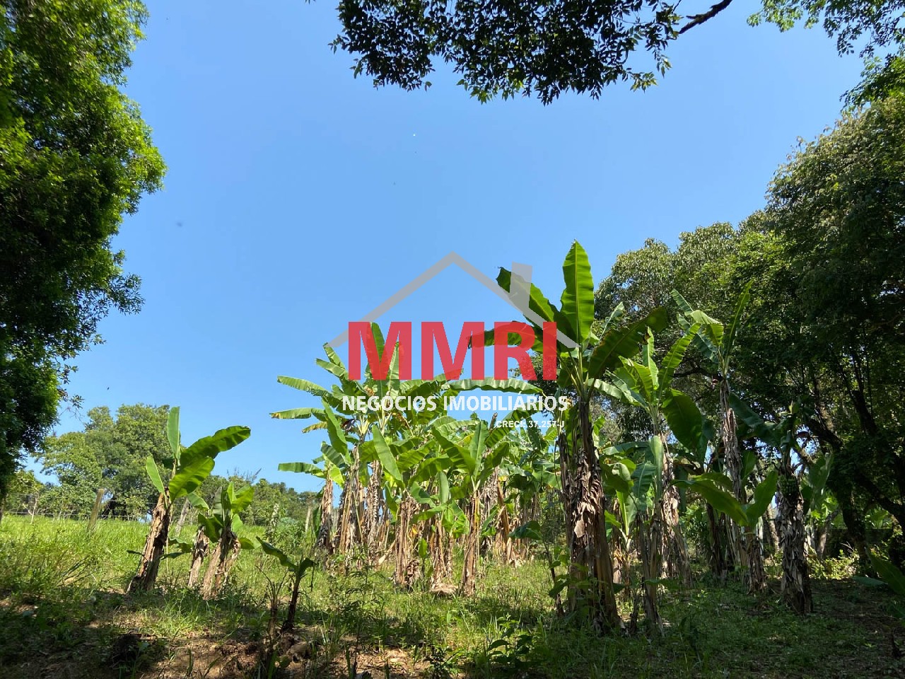 Chácara, 4 quartos, 3218 m² - Foto 80