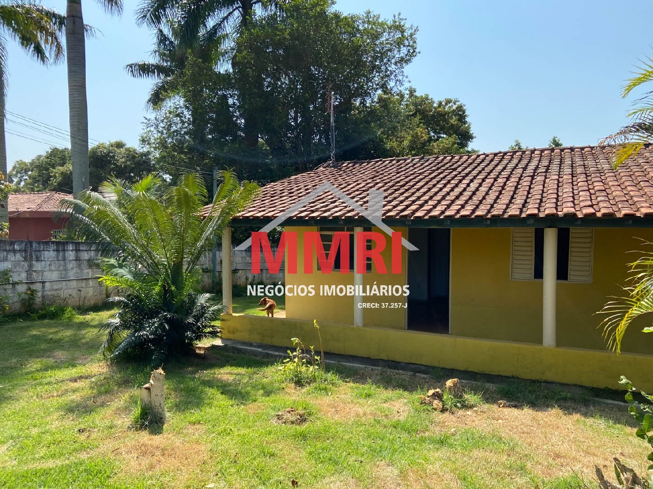 Chácara, 4 quartos, 3218 m² - Foto 6