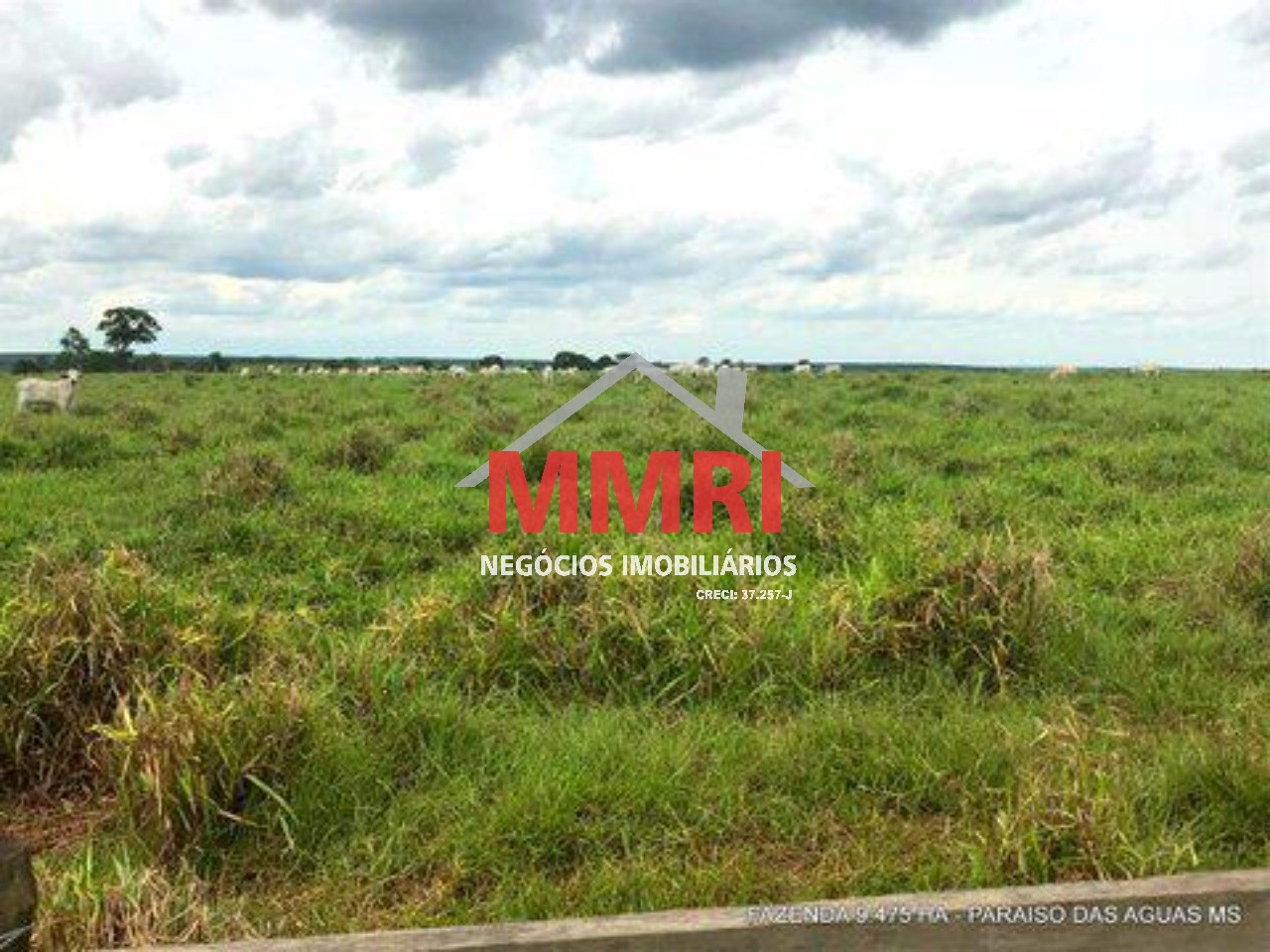 Fazenda, 9475 m² - Foto 5