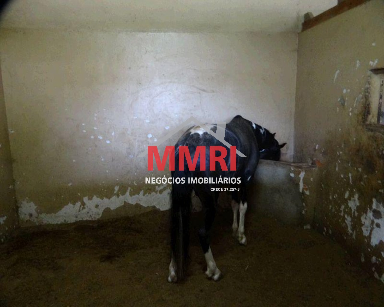 Chácara, 3 quartos - Foto 25