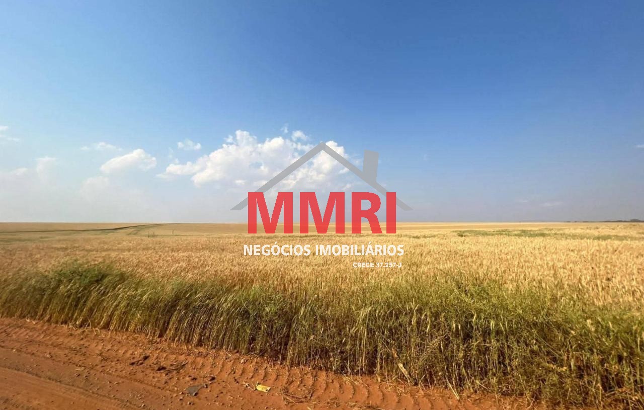 Fazenda, 893 m² - Foto 2