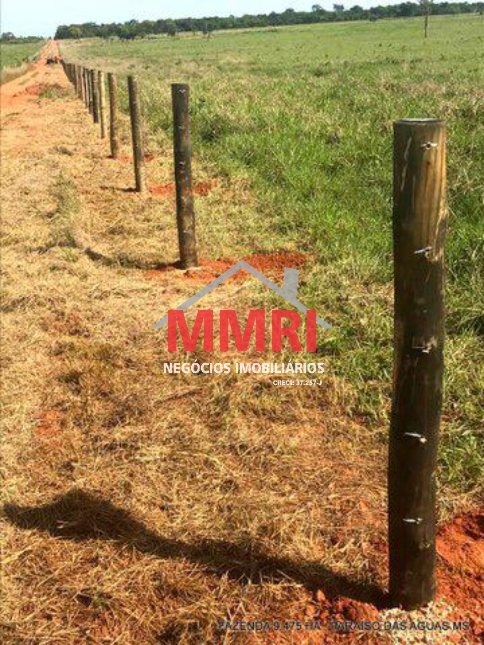 Fazenda, 9475 m² - Foto 2