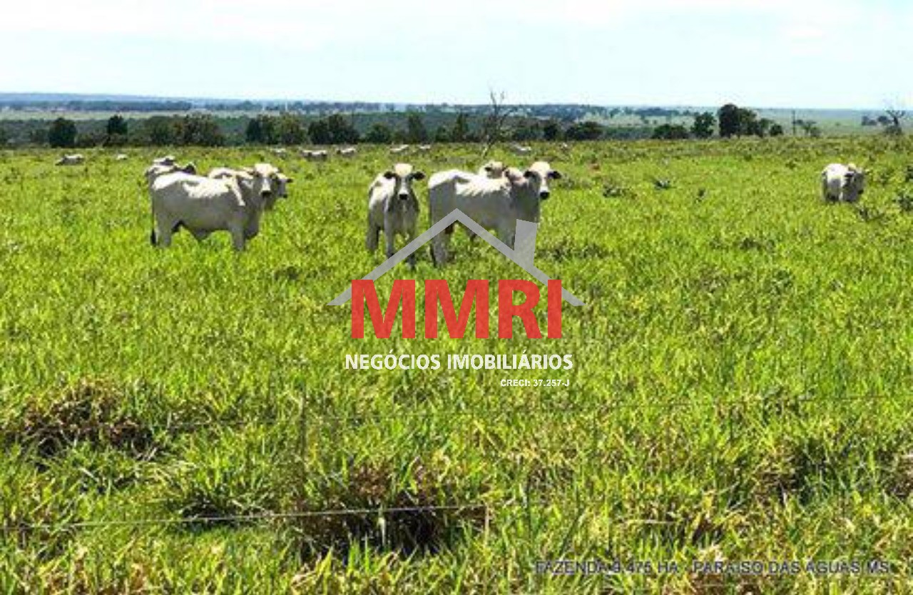 Fazenda, 9475 m² - Foto 1