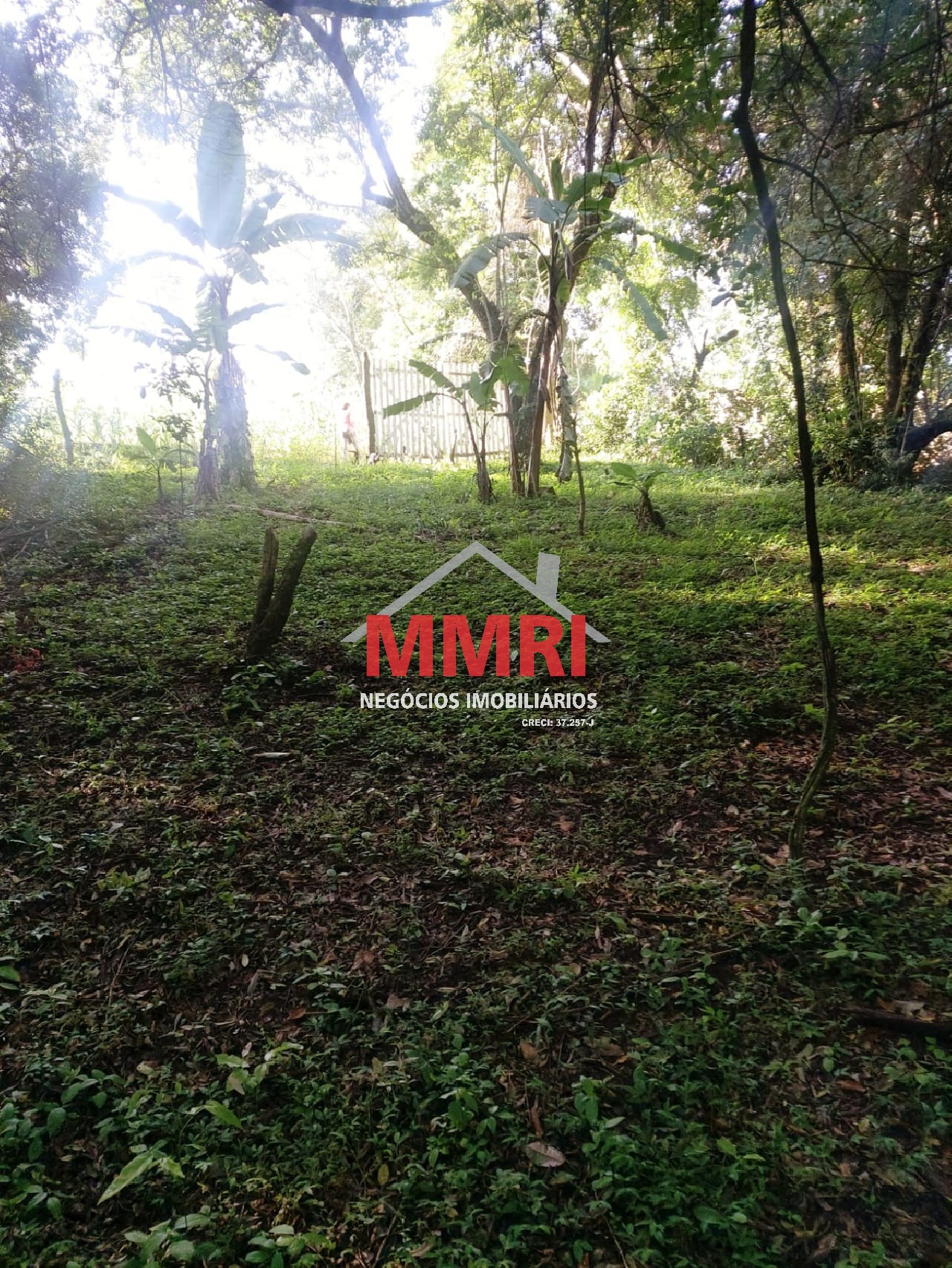 Chácara, 4 quartos, 3218 m² - Foto 105