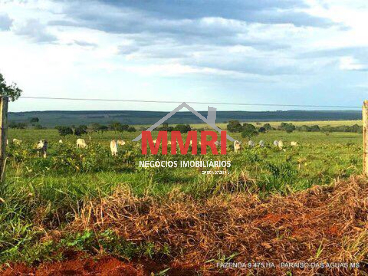 Fazenda, 9475 m² - Foto 4