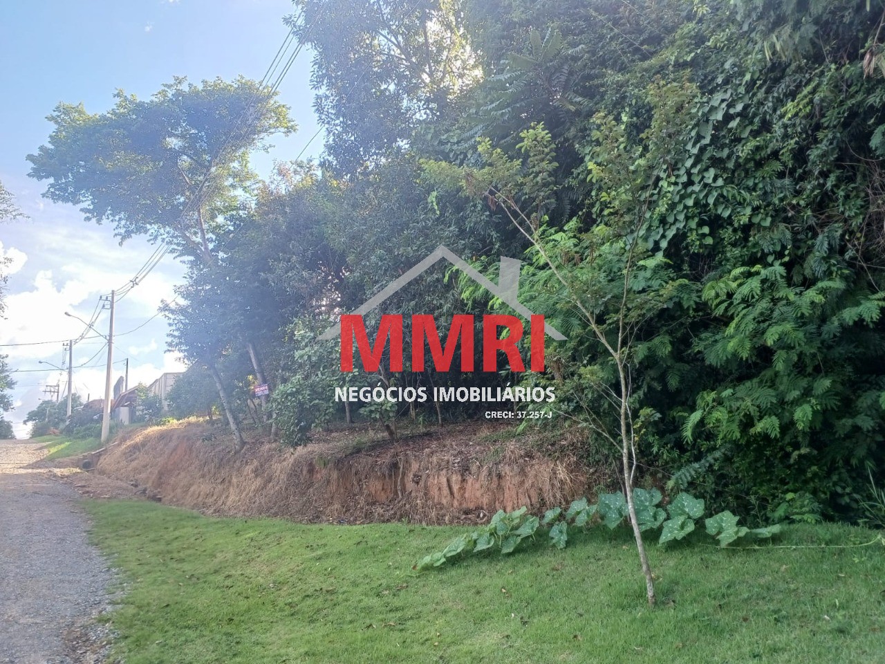 Terreno, 1167 m² - Foto 5