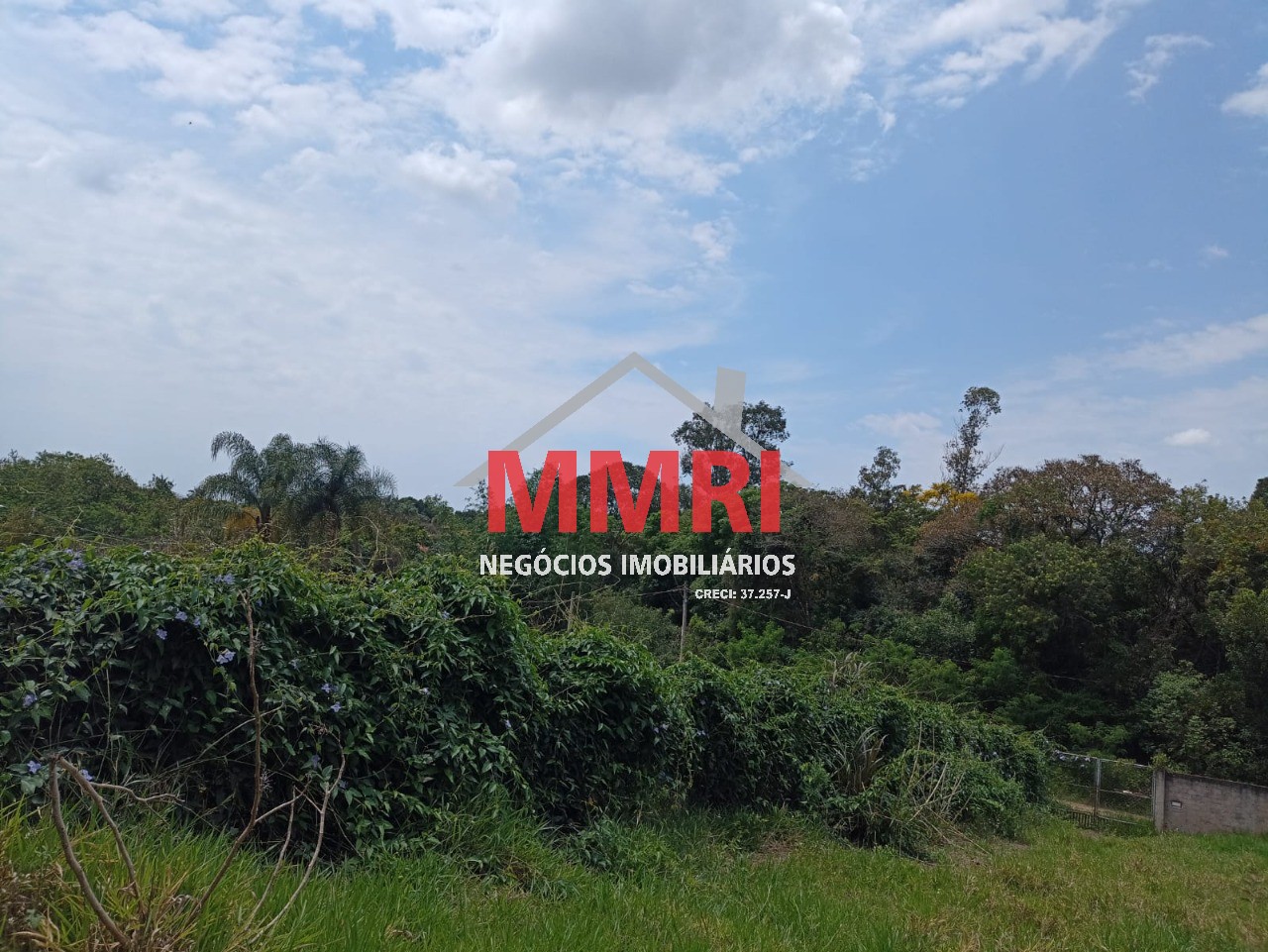 Terreno, 1000 m² - Foto 3