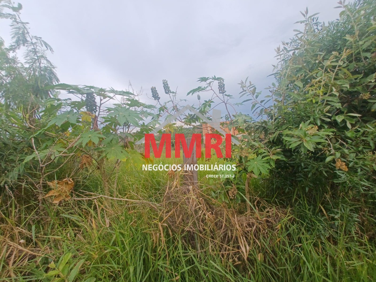 Terreno, 1470 m² - Foto 3