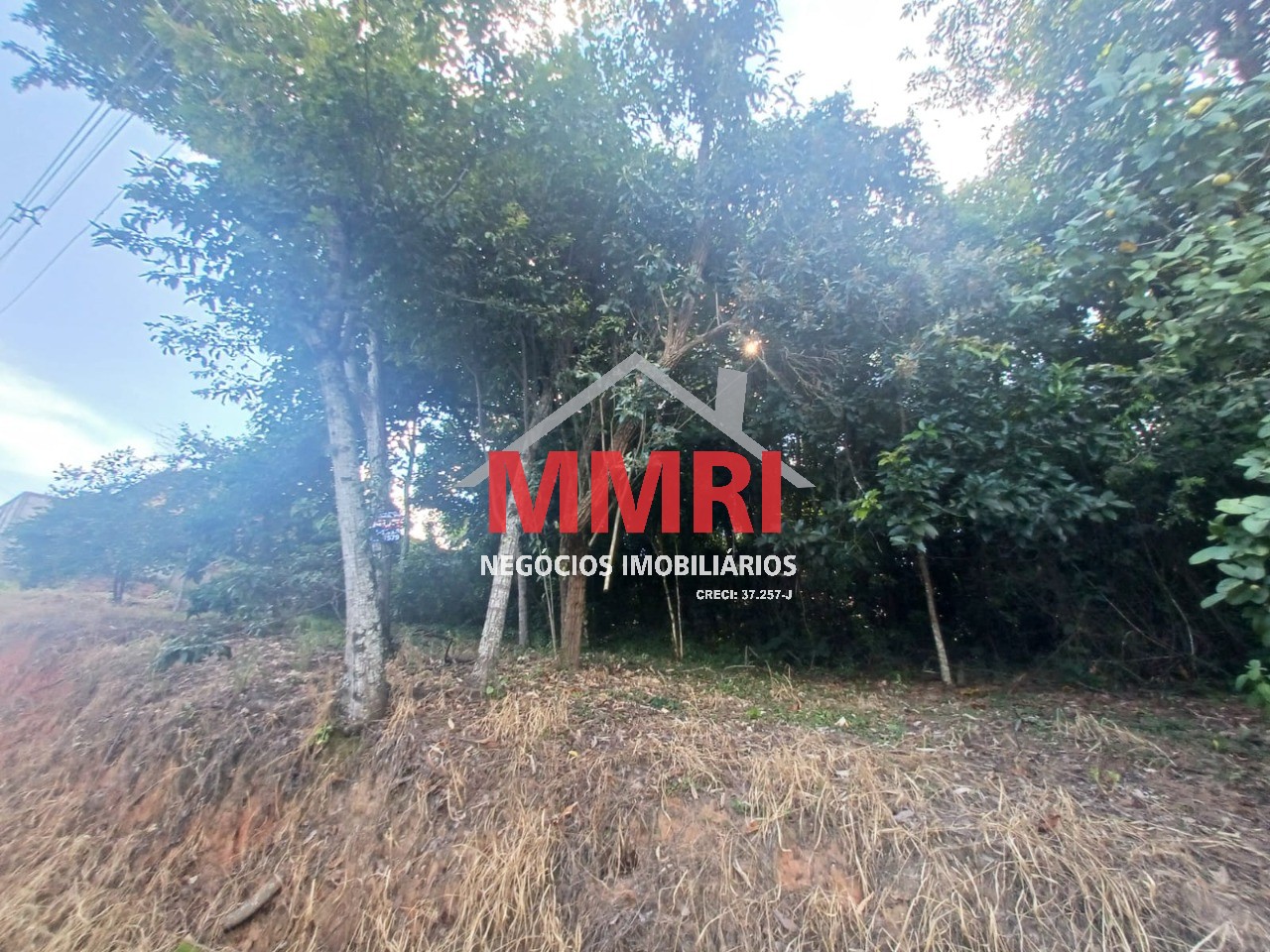 Terreno, 1167 m² - Foto 9