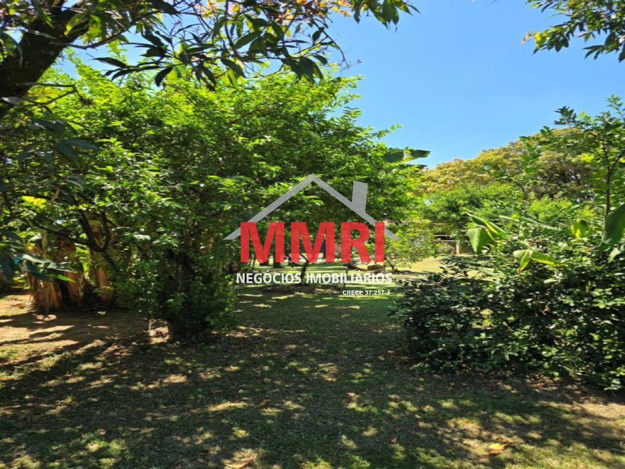 Chácara, 3 quartos - Foto 13