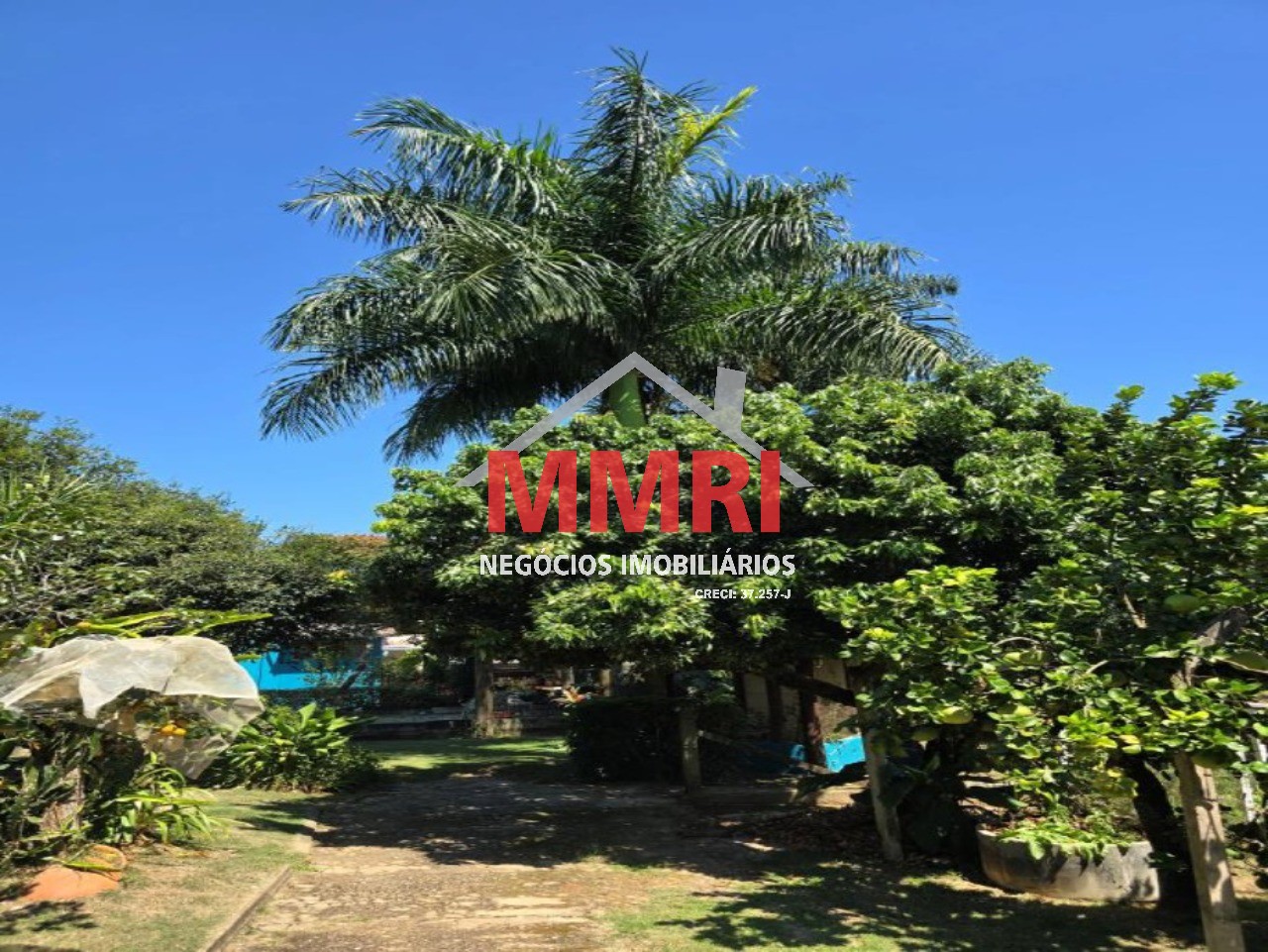 Chácara, 3 quartos - Foto 12