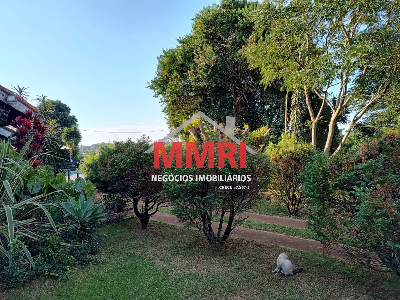 Chácara, 9 quartos, 3648 m² - Foto 12