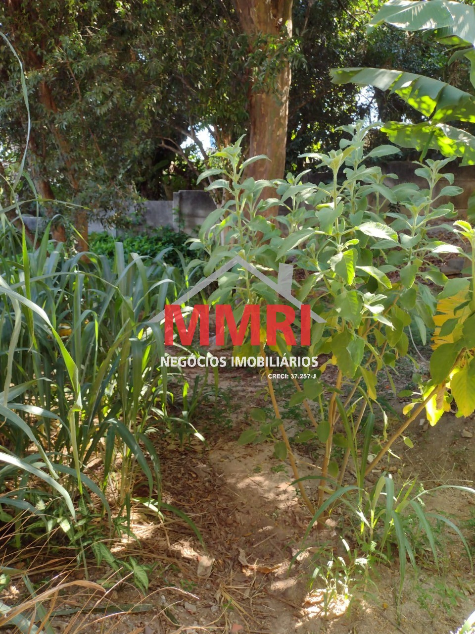 Casa, 3 quartos - Foto 14