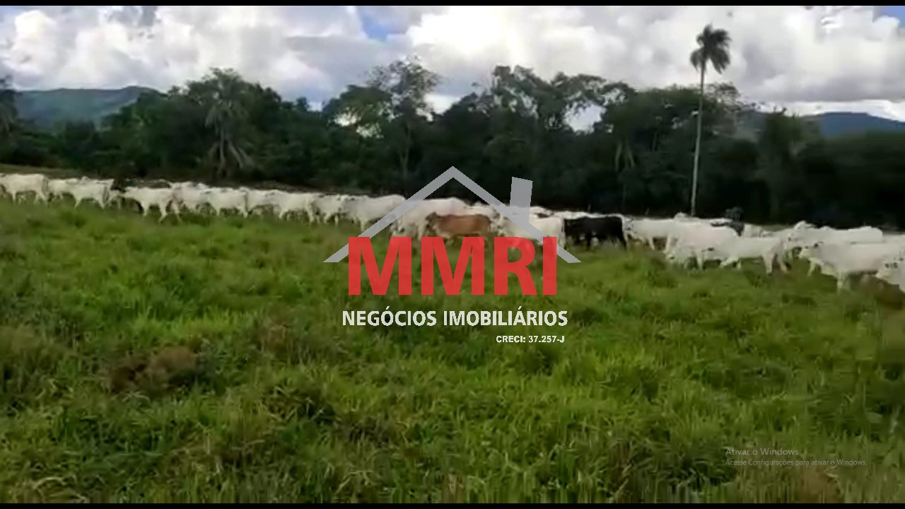 Fazenda - Foto 1