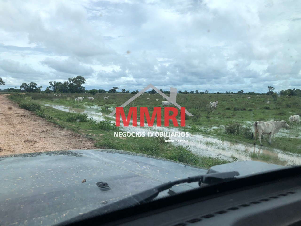 Fazenda, 10 hectares - Foto 7