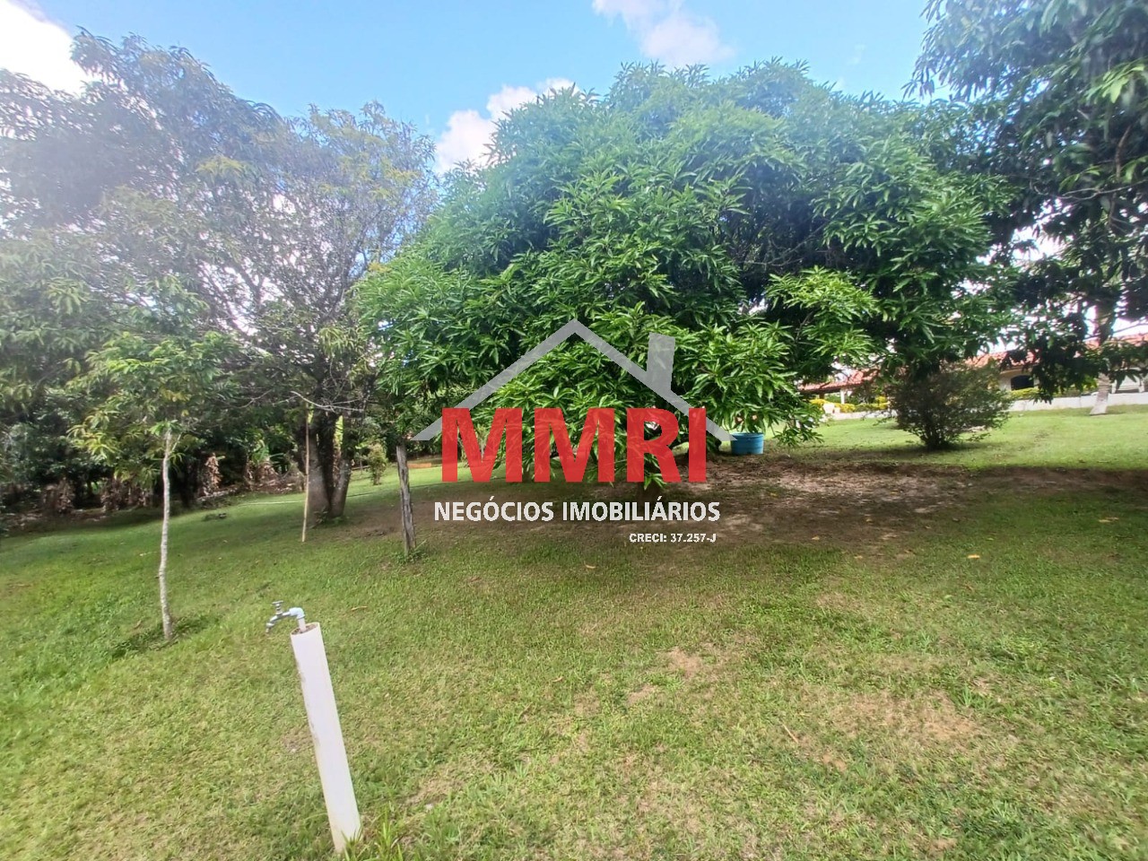 Chácara, 3 quartos, 5550 m² - Foto 2