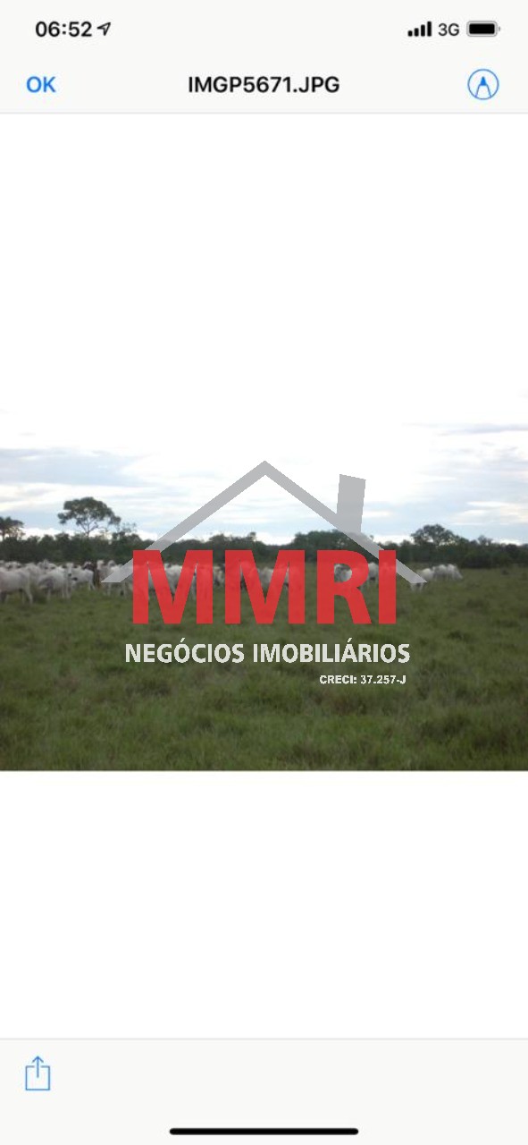 Fazenda, 10 hectares - Foto 2