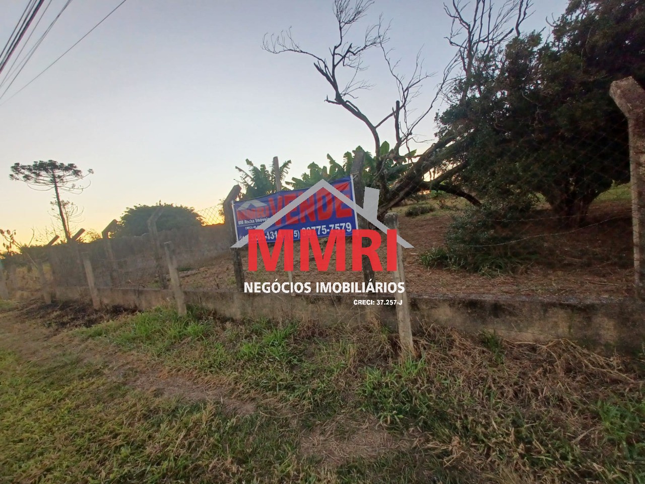 Terreno, 2 hectares - Foto 4