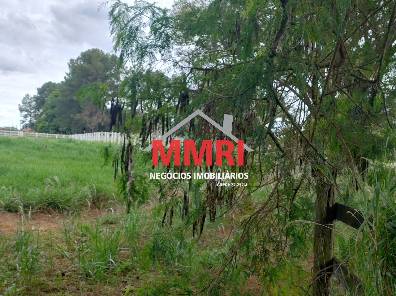 Fazenda, 4 hectares - Foto 14