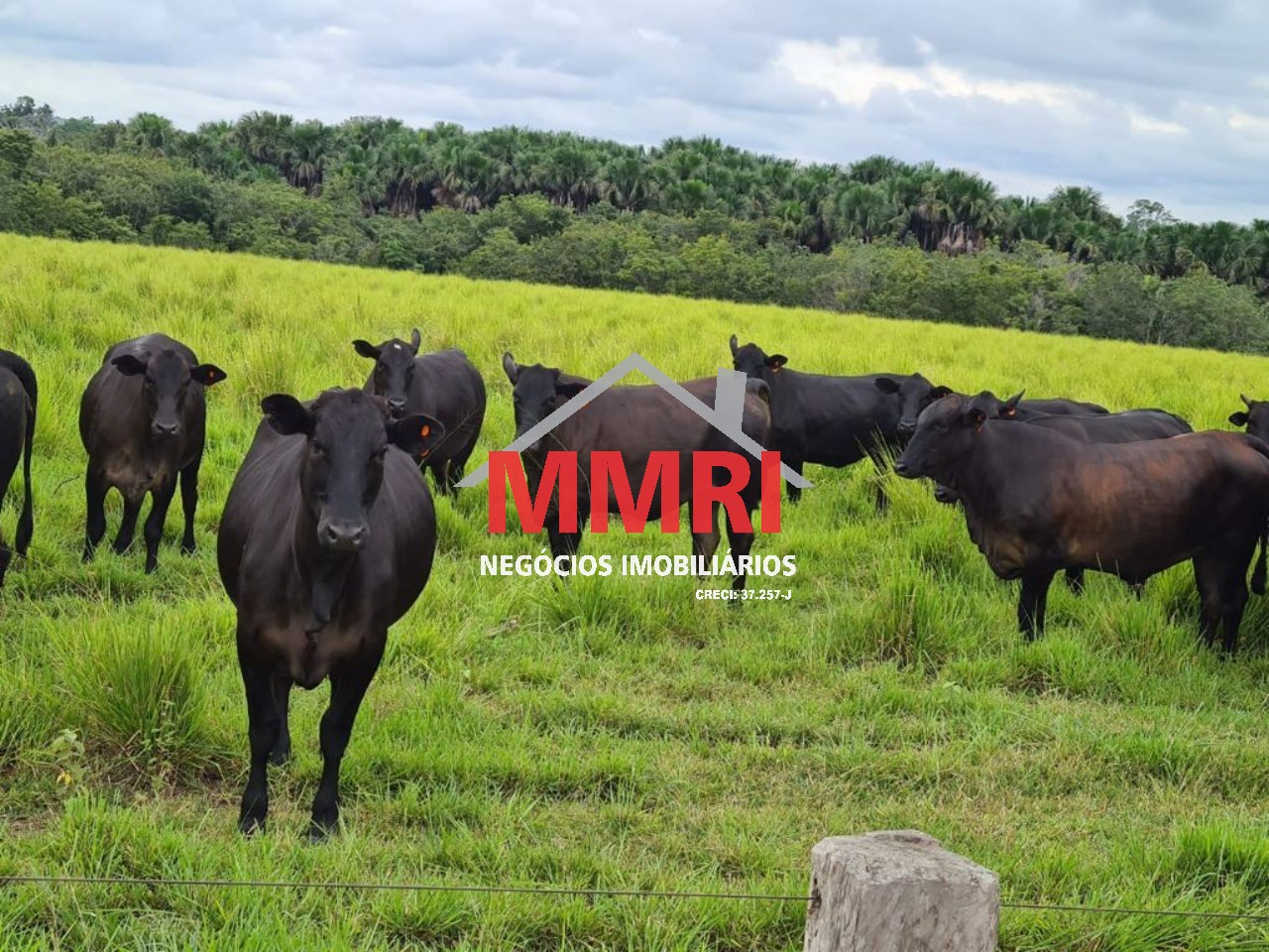 Fazenda, 2 hectares - Foto 32