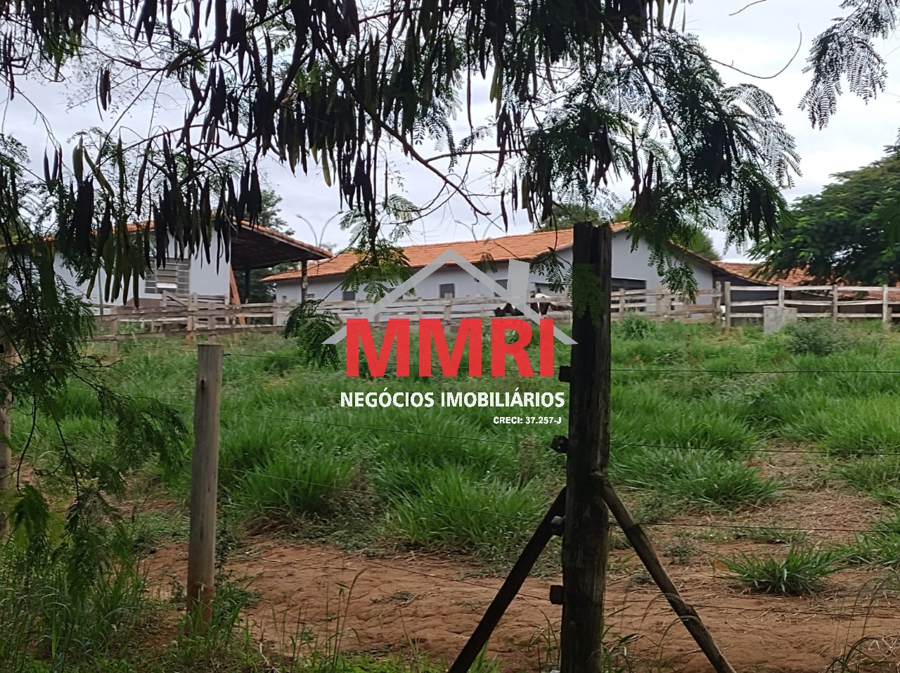 Fazenda, 4 hectares - Foto 10