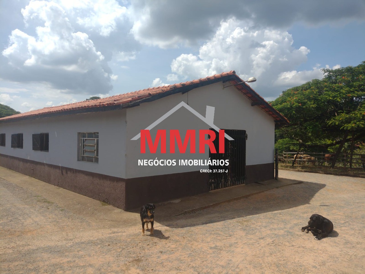 Fazenda, 4 hectares - Foto 22