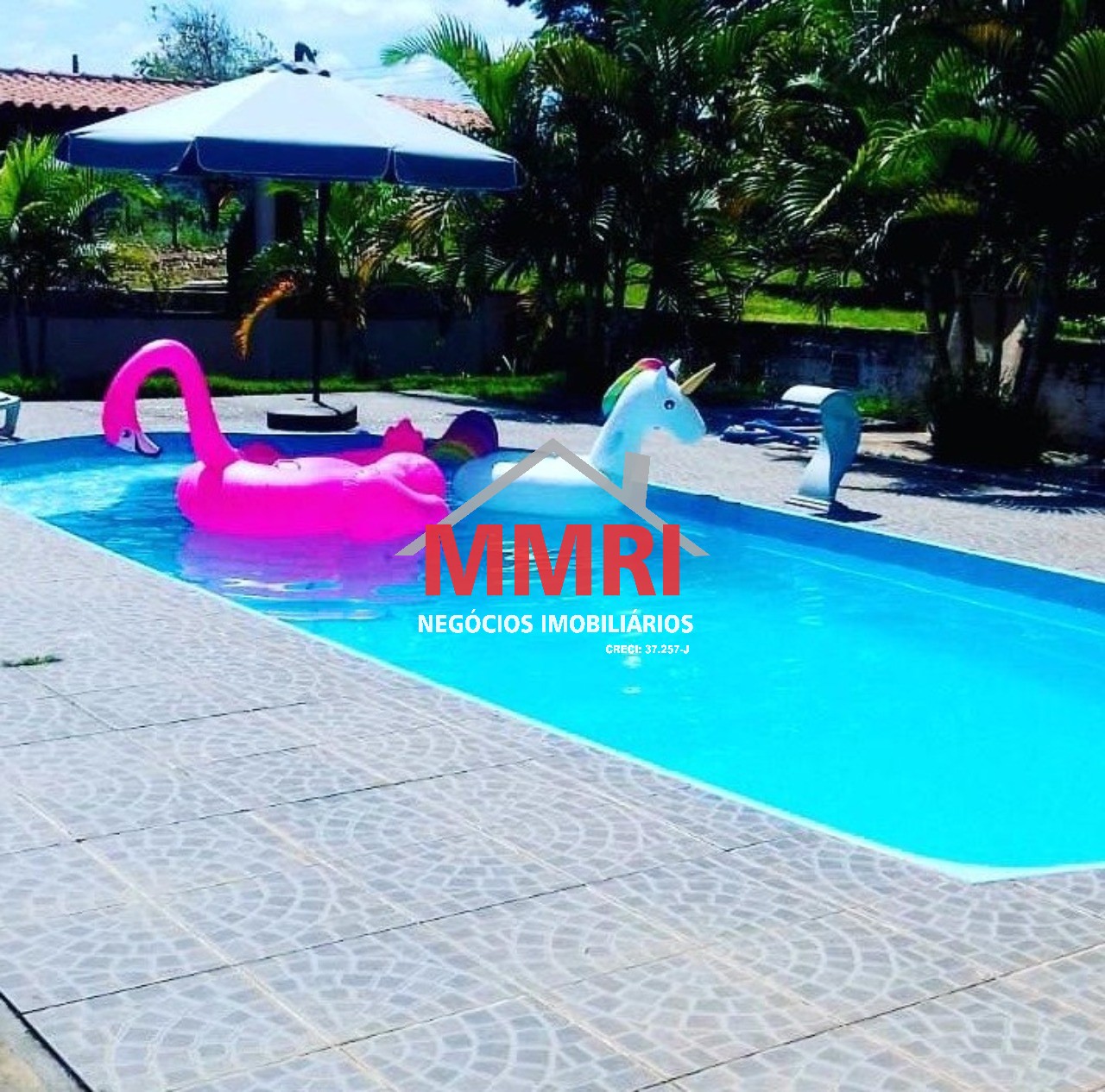 Sítio, 3 quartos - Foto 6