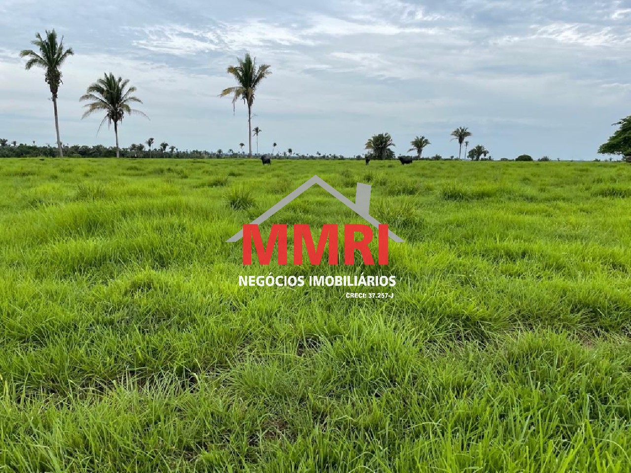 Fazenda, 2 hectares - Foto 1