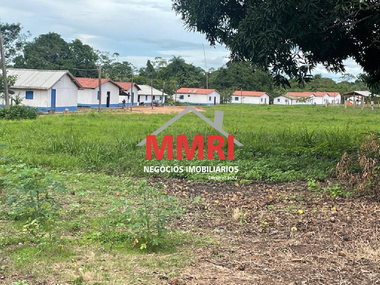 Fazenda, 2 hectares - Foto 14