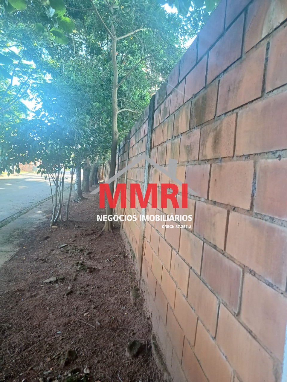 Terreno, 250 m² - Foto 3