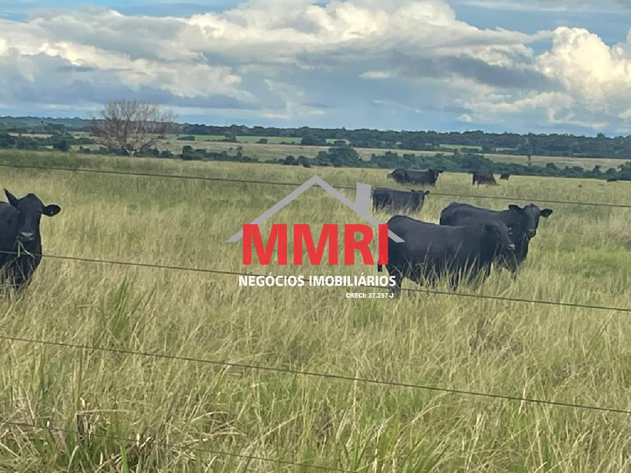 Fazenda, 2 hectares - Foto 13